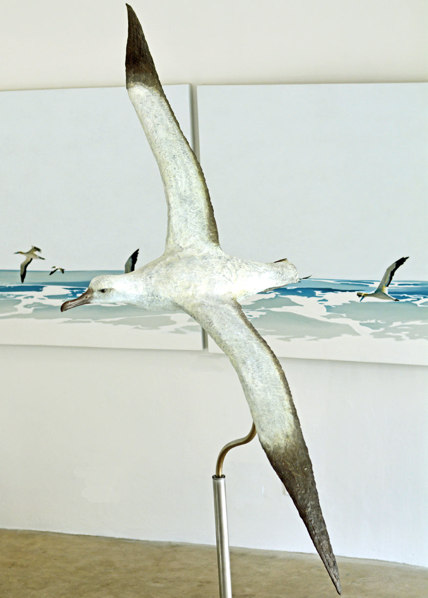 Wandering Albatross by Robbie Leggat