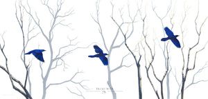 Blue Paths