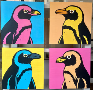 Colourful Jackasses
