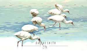 Spoonbills