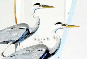 Great Herons