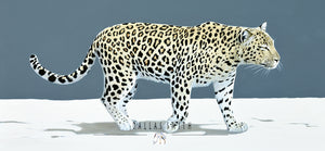 Top wildlife art South Africa wildlife artist Order Leopard print online Buy wildlife print