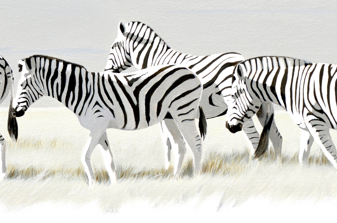 Zebra Sunday