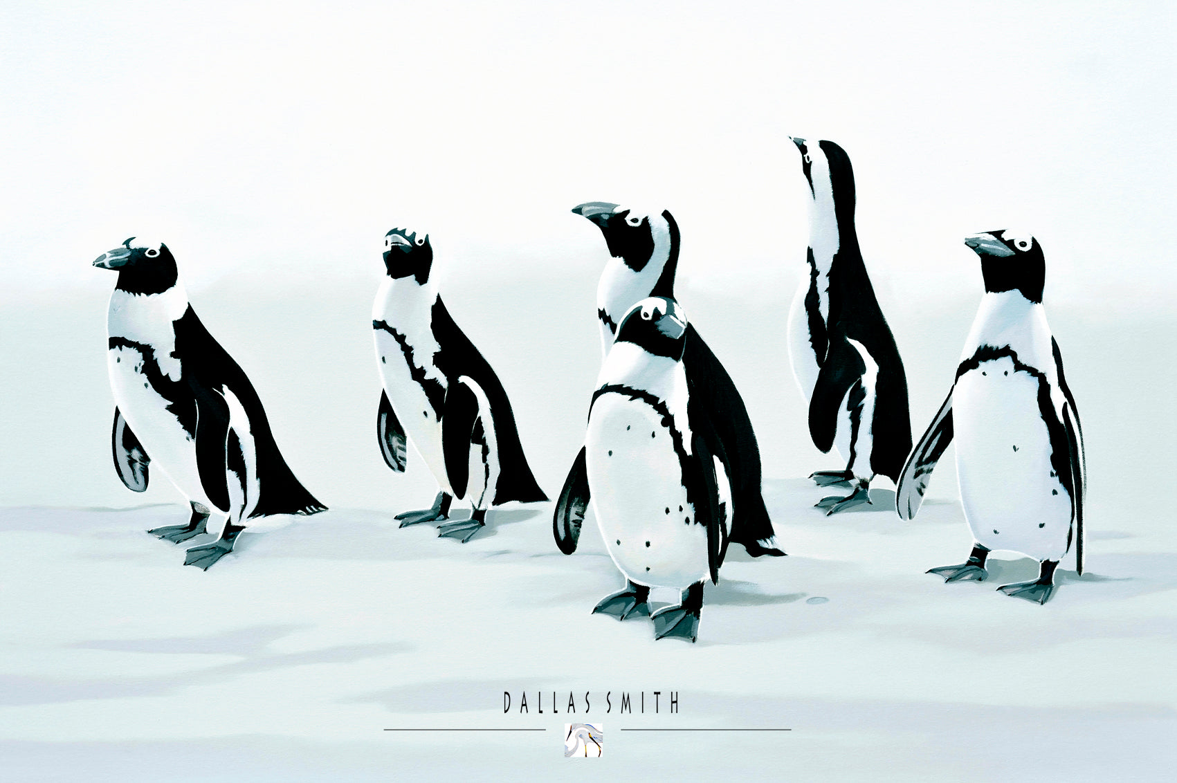 Top penguin art online Order prints of penguins Buy penguin art Jackass penguins South Africa best Simon's Town penguins print